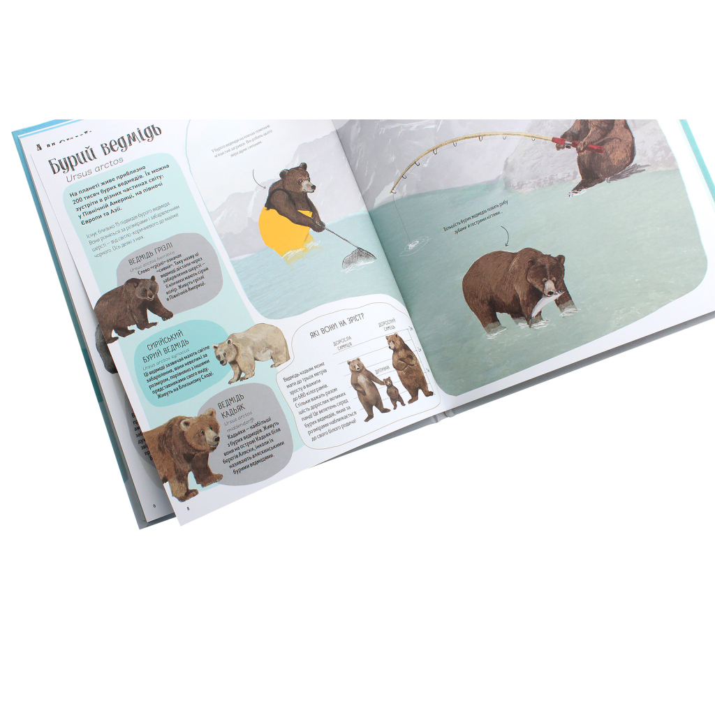 Книга Ведмежа книга - Кейті Віґґерс Жорж (9786177579624) - зображення 6