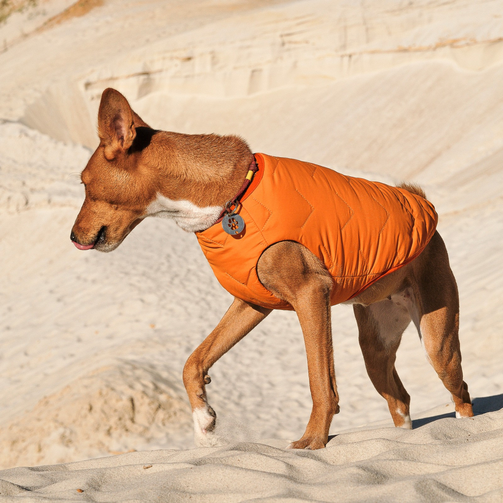 Жилет для тварин Pet Fashion "E.Vest" M2 помаранчевий (4823082424320) - зображення 4