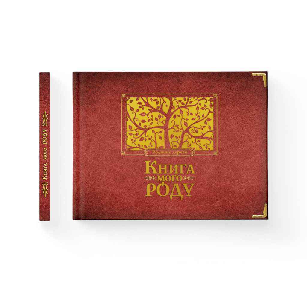 Книга Книга мого роду. Родинне дерево - Ірина Мацко Видавництво Старого Лева (9789662909890) - зображення 2