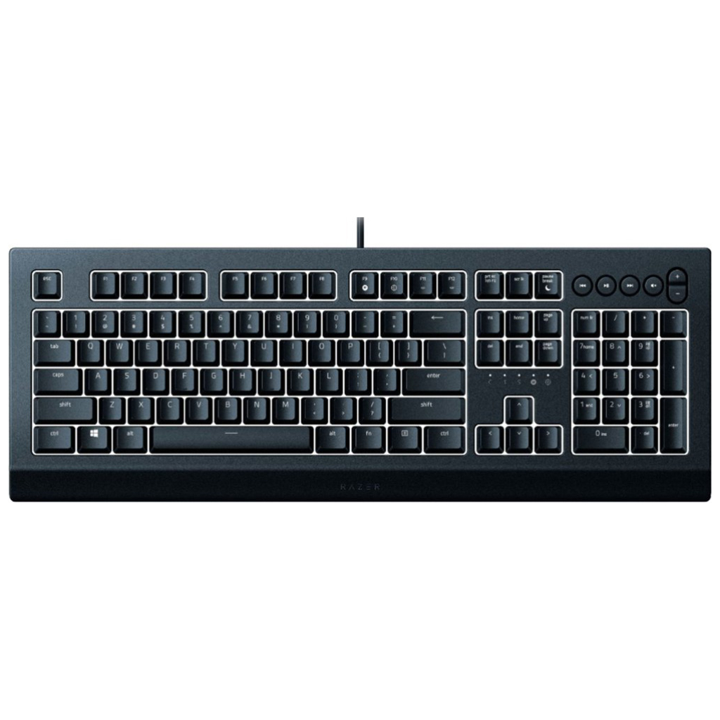 Клавіатура Razer Cynosa V2 (RZ03-03400700-R3R1) - зображення 4