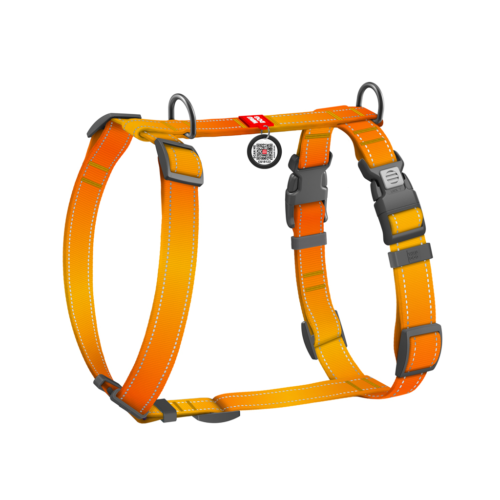 Шлея для собак WAUDOG Nylon Mono анатомічна H-подібна з QR паспортом, пластиковий фастекс, XL помаранчева (54594) - зображення 2