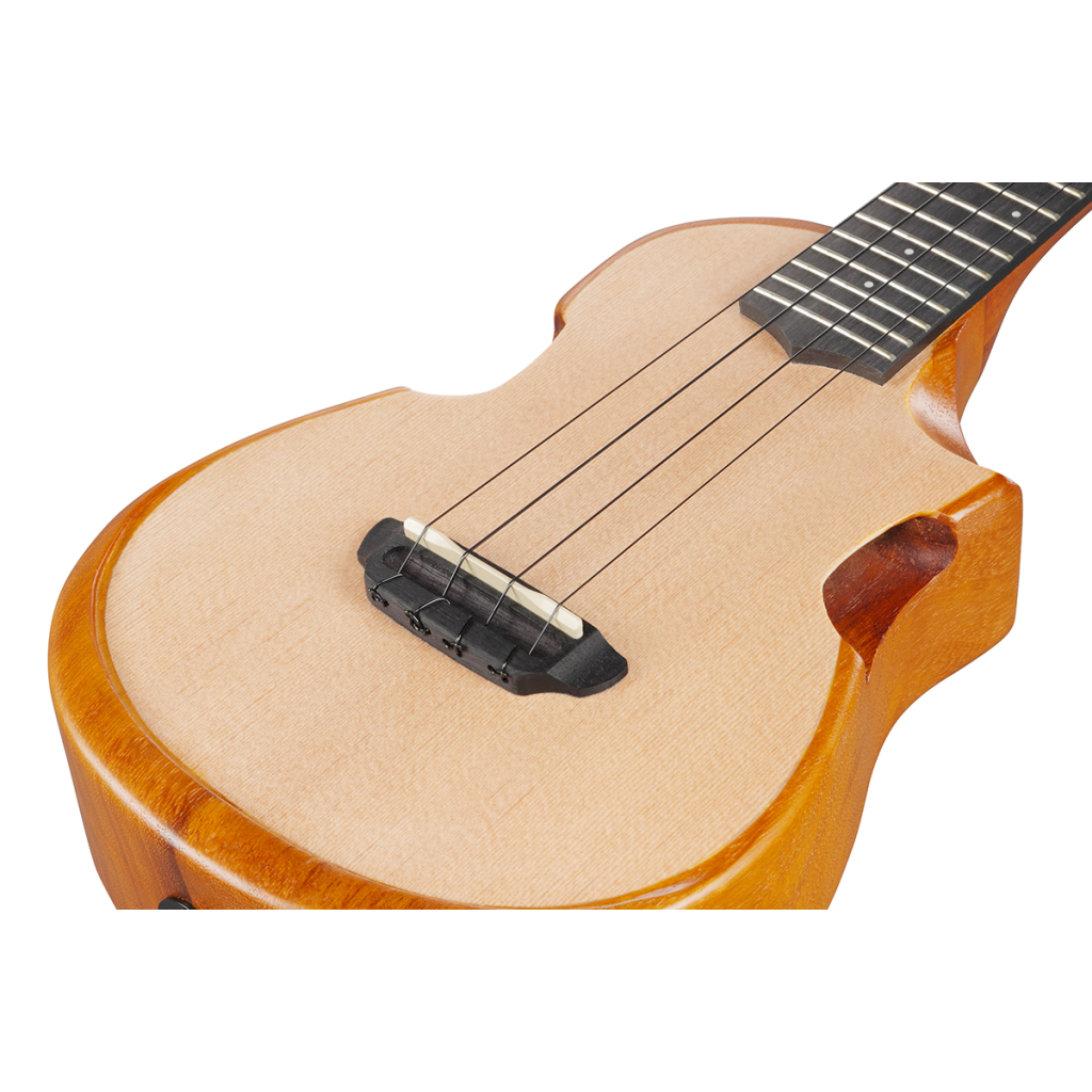 Укулеле Ibanez AUC10E OPN (234983) - изображение 11