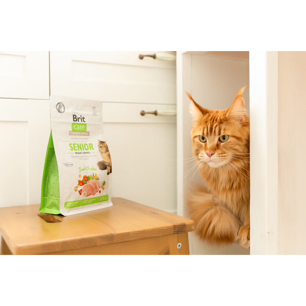 Сухий корм для кішок Brit Care Cat GF Senior Weight Control 400 г (8595602540952) - зображення 5