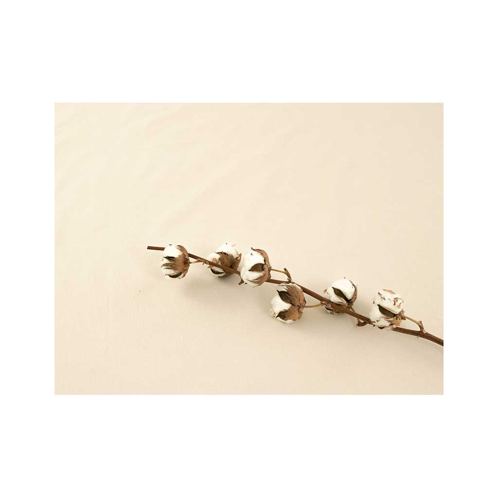 Простирадло Руно бязь на гумці Beige 140х200 см (501.114У_Beige) - зображення 4