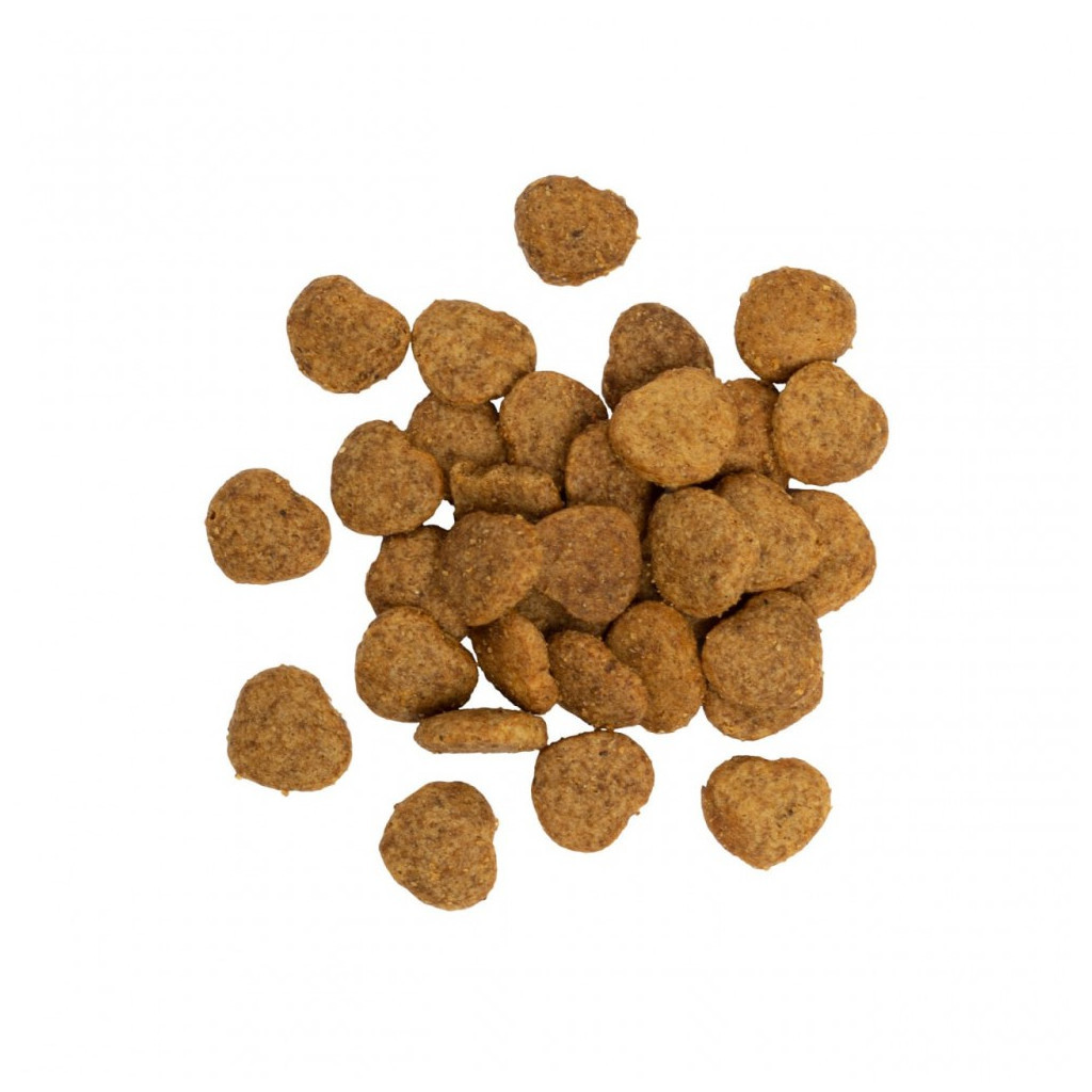 Ласощі для котів Savory для здорового росту кошенят, індичка з журавлиною 50 г (4820232631393) - зображення 2