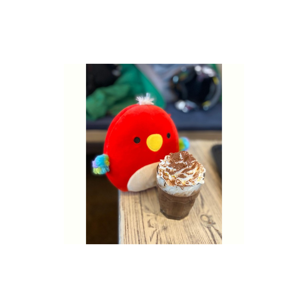 М'яка іграшка Squishmallows Jazwares Папуга Пако 20 см (6591880) - зображення 2