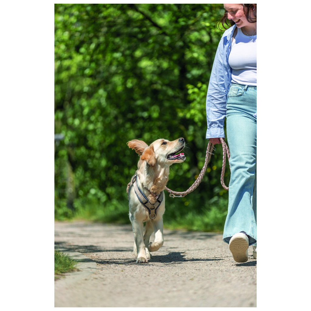 Повідець для собак Trixie Cavo регульований L–XL 2 м діаметр 18 мм рожево-пісочний (4053032677845) - зображення 3