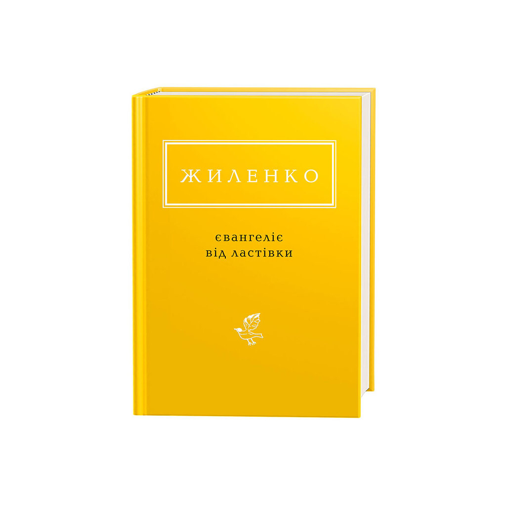 Книга Євангеліє від ластівки - Ірина Жиленко А-ба-ба-га-ла-ма-га (9786175851265) - зображення 1