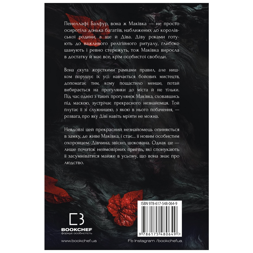 Книга Кров і попіл: Із крові й попелу - Дженніфер Л. Арментраут BookChef (9786175480649) - зображення 3