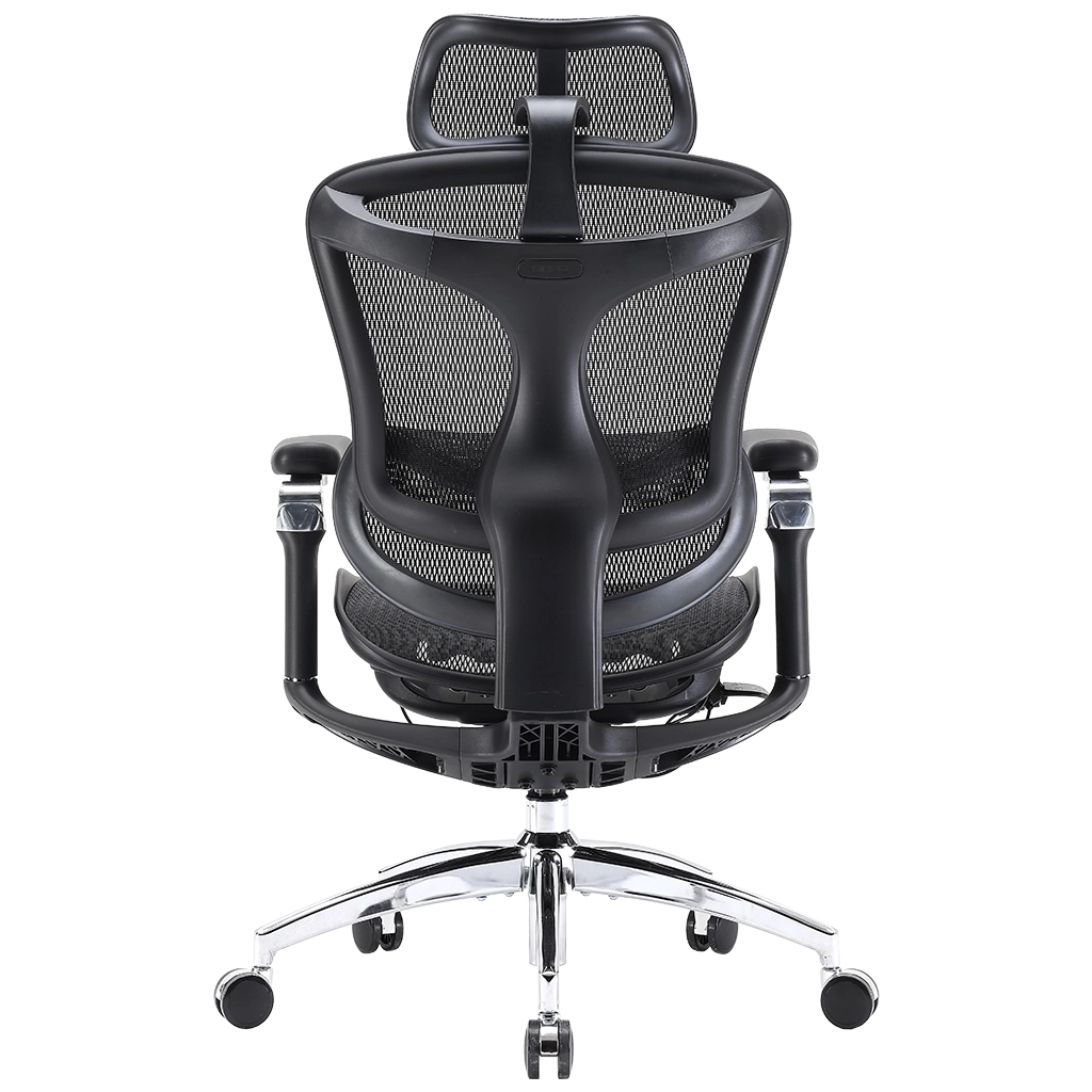 Офісне крісло Sihoo DORO C300 Pro Mesh Black (DORO-C300-PRO-M101) - picture 4