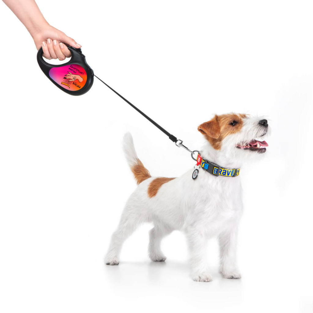 Повідець для собак WAUDOG R-leash Конотопські магічні війська світловідбиваюча стрічка M 5 м (8125-0232-01) - зображення 3