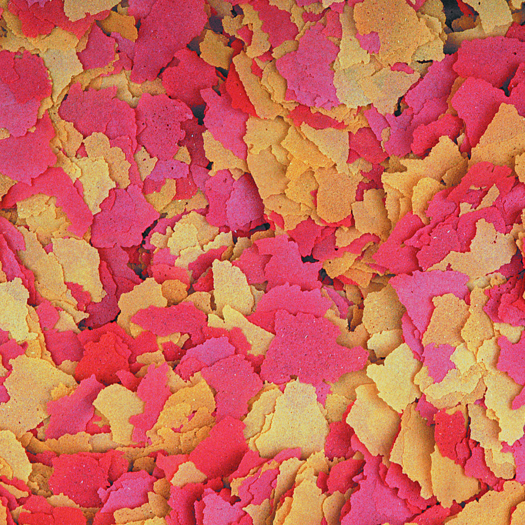 Корм для риб Tropical Ovo-Vit у пластівцях 1 л (5900469770368) - зображення 2