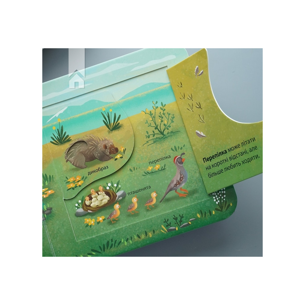 Книга Хто живе у лісі? Зазирни у віконечко - Джей Ґарнетт КСД (9786171502840) - изображение 2