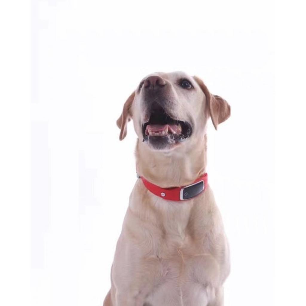 GPS трекер GoGPS трекер для животных Z2 red (Z2RD) - зображення 3