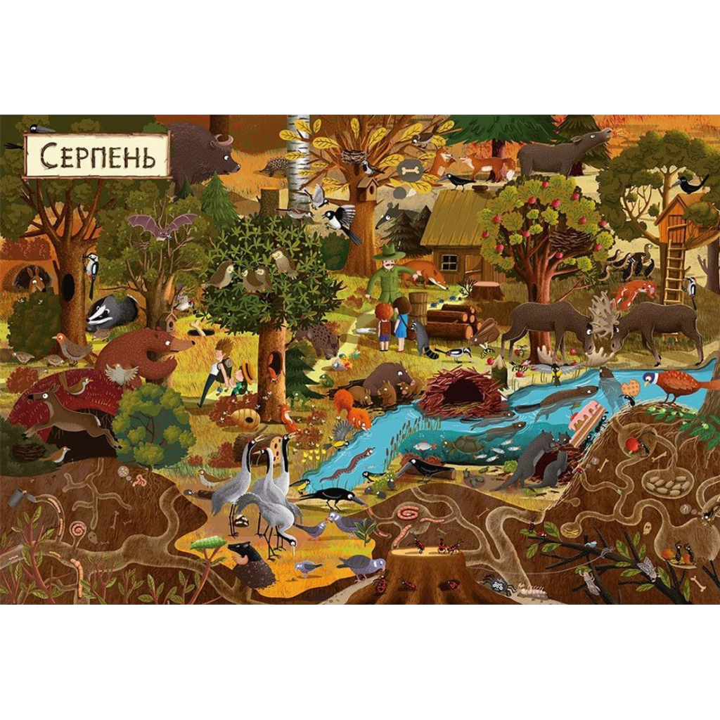 Книга Рік у лісі - Емілія Дзюбак Видавництво Старого Лева (9786176792789) - зображення 4