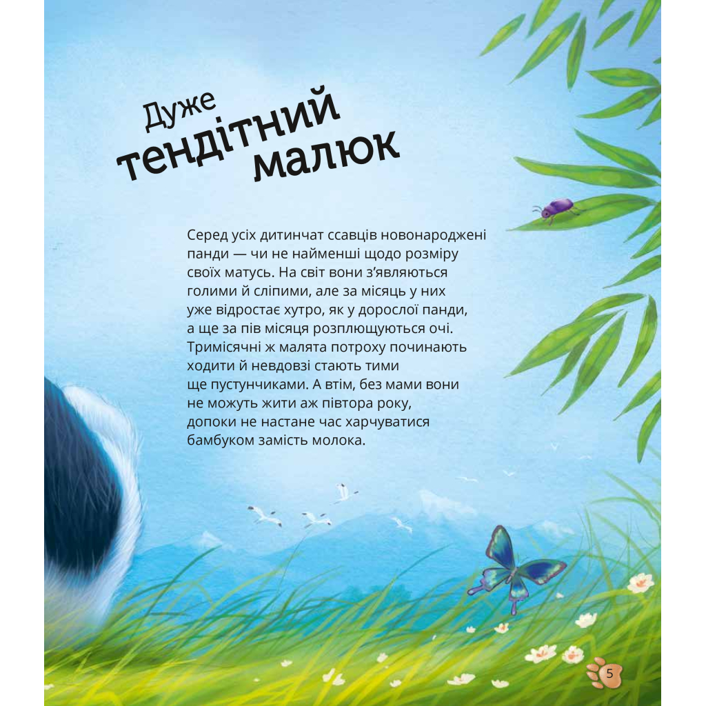 Книга Наймиліші малюки тварин - Алехандро Альґарра Vivat (9786171705302) - зображення 6