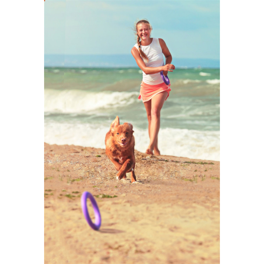 Іграшка для собак Puller Midi 20 см 2шт (6488) - зображення 8