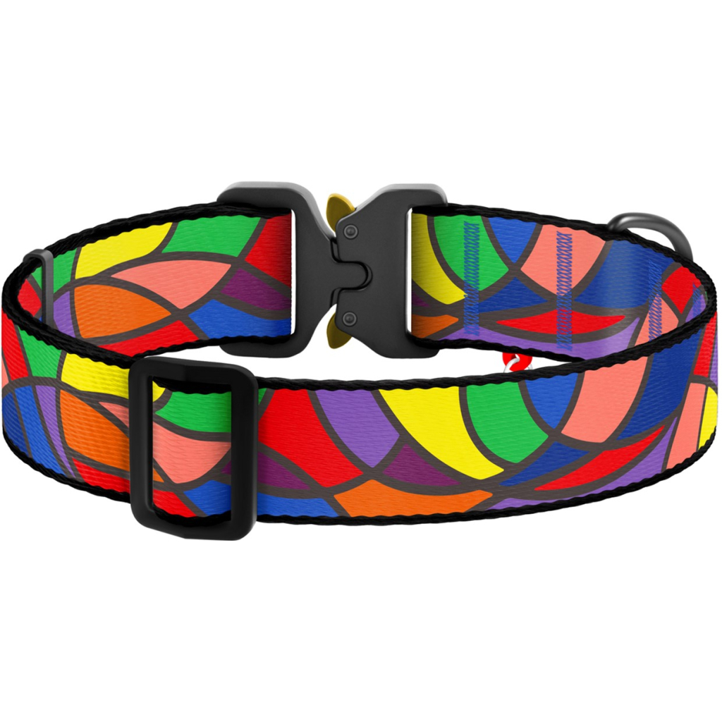 Нашийник для тварин WAUDOG Nylon з QR паспортом "Вітраж" металева пряжка-фастекс S (5172) - зображення 2