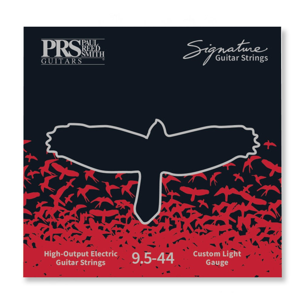 Струни для гітари PRS Signature Custom Light Guitar Strings 9.5-44 (100148002001004) - зображення 2