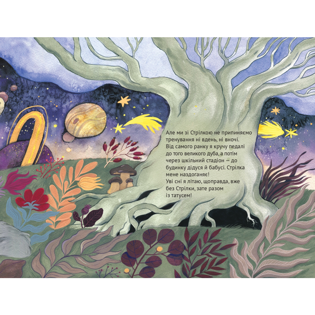 Книга Ми з татом летимо в космос - Жак Жаб'є Vivat (9789669421081) - зображення 5