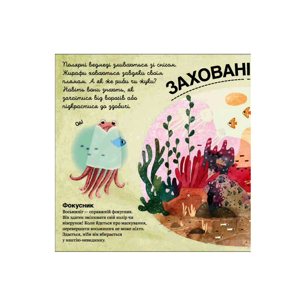 Книга Хто ховається між листям й у воді? - Павла Ганачкова #книголав (9786177563999) - зображення 4