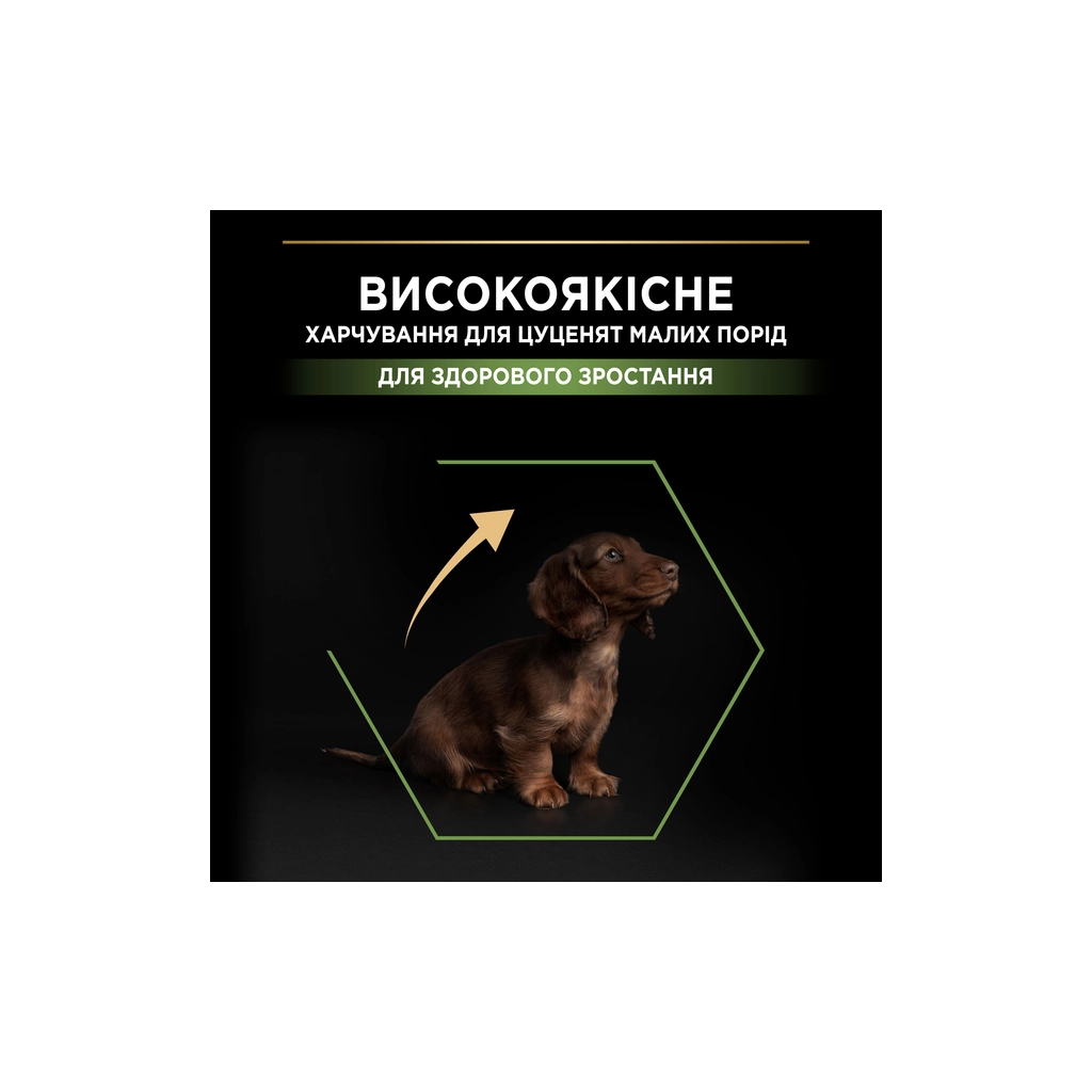Сухий корм для собак Purina Pro Plan Dog Small&Mini Puppy з куркою і рисом 3 кг (7613035114340) - зображення 5