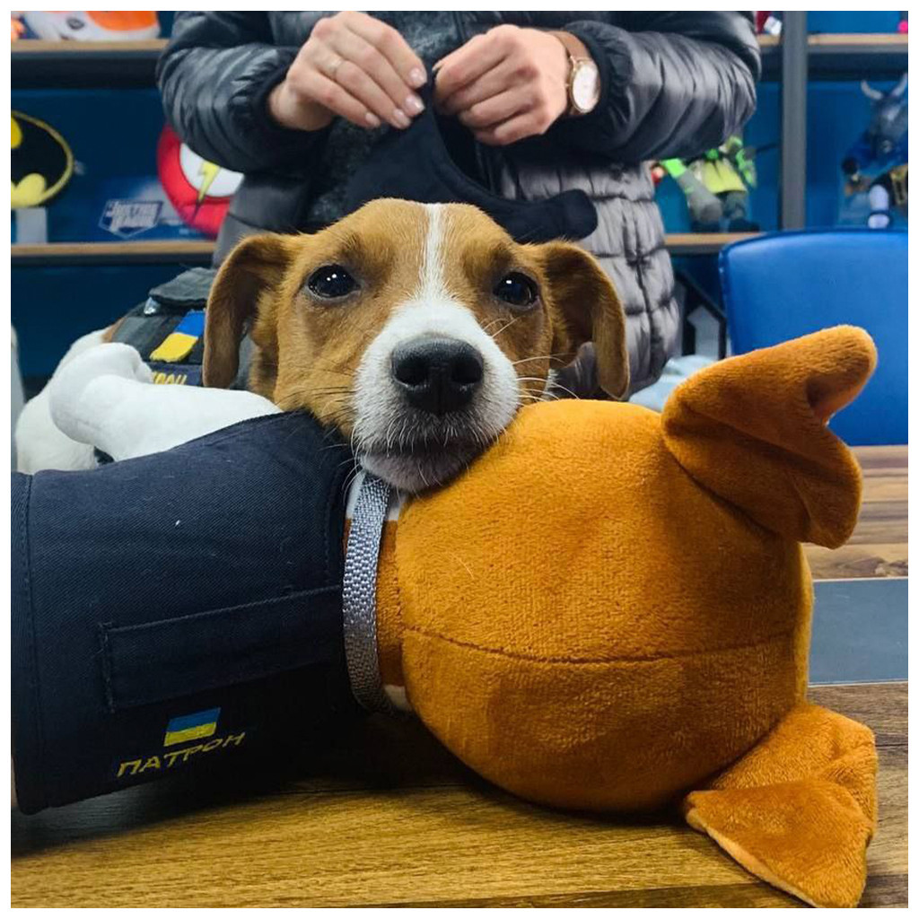 М'яка іграшка WP Merchandise пес Патрон (FWPATRONPL22WTBN1) - зображення 11