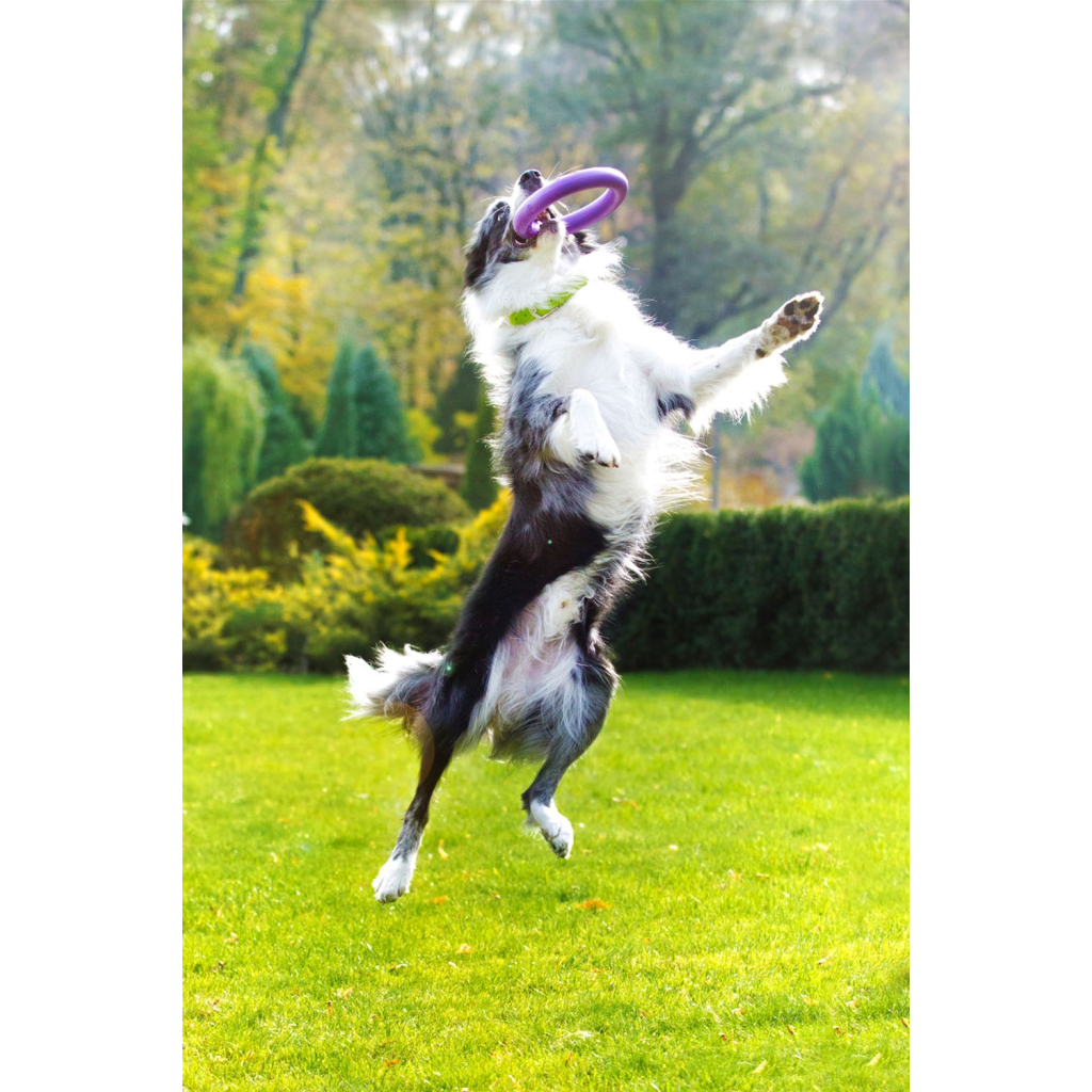 Іграшка для собак Puller Midi 20 см 2шт (6488) - зображення 6