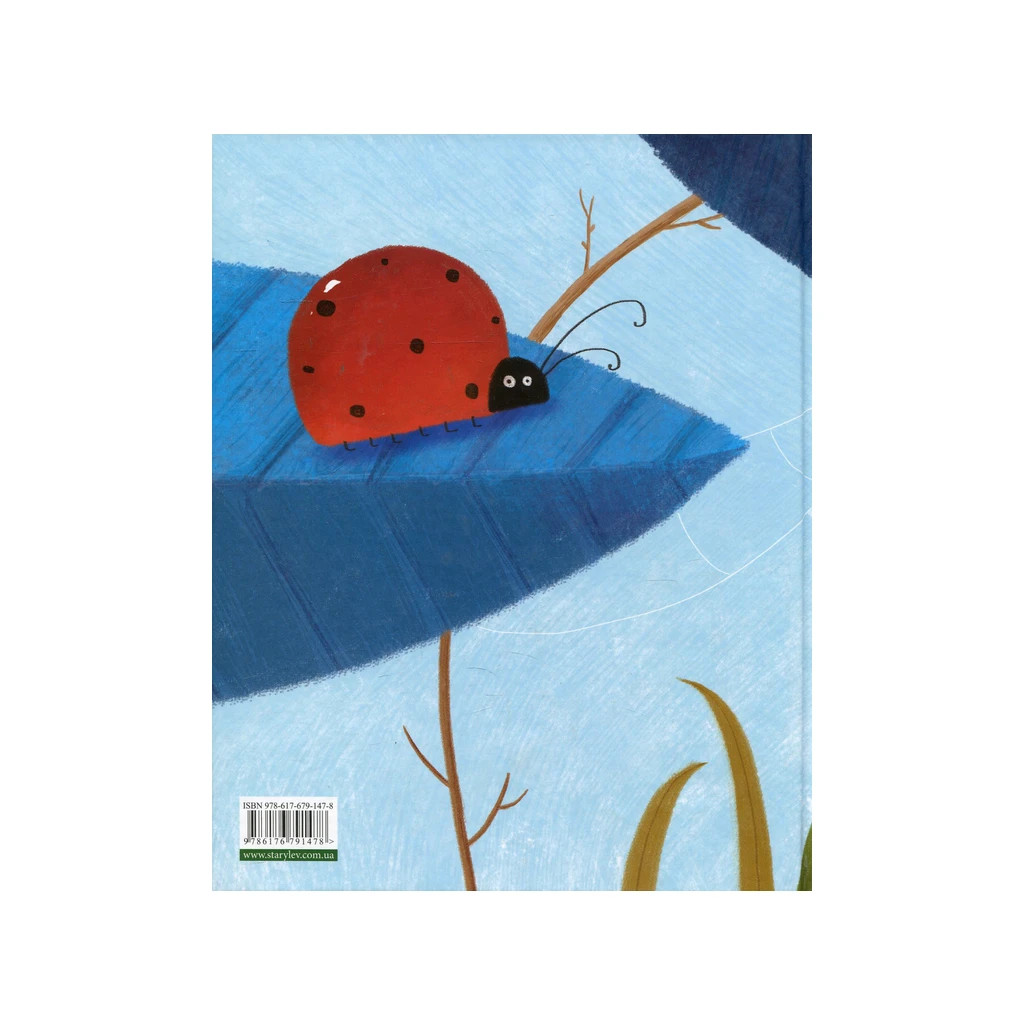 Книга Босоніжки для стоніжки - Мар'яна Савка Видавництво Старого Лева (9786176791478) - зображення 2