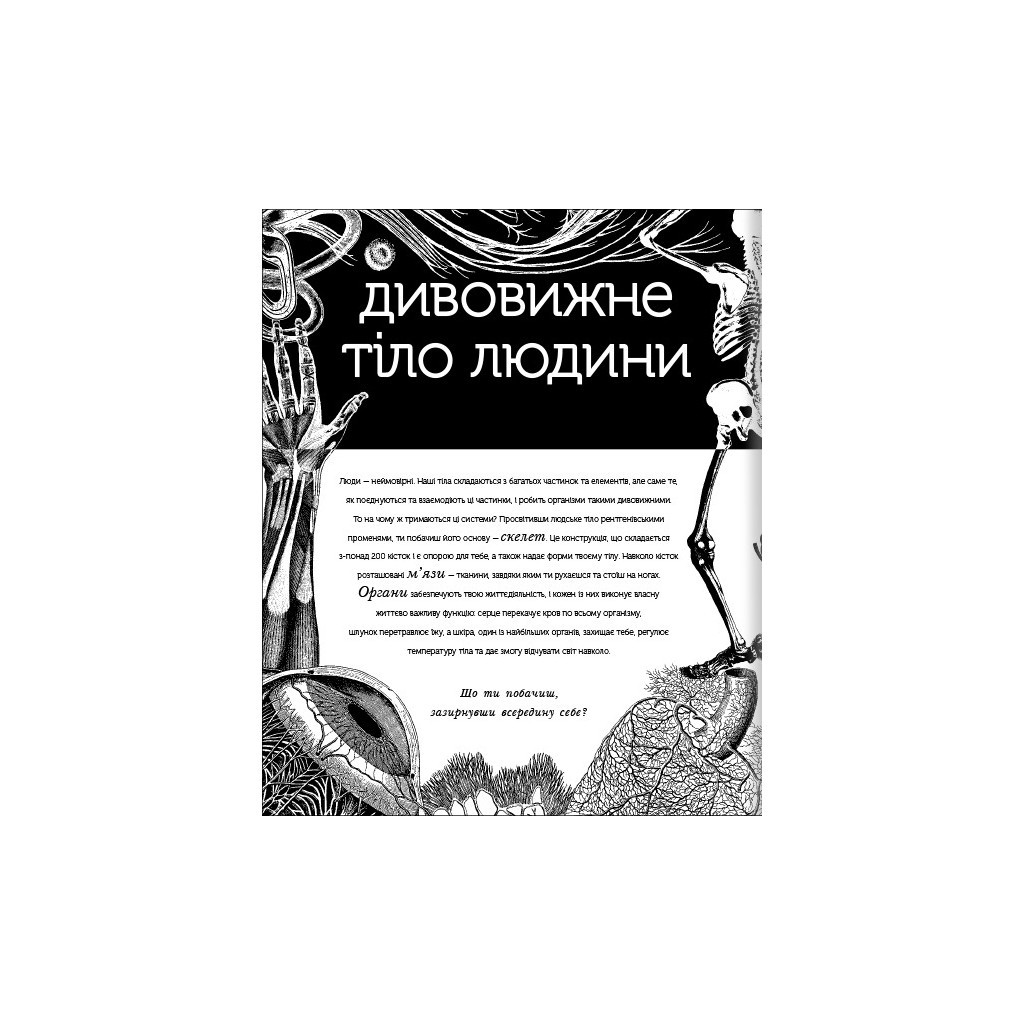 Книга Прихований світ людського тіла - Кейт Дейвіс #книголав (9786177820504) - зображення 4