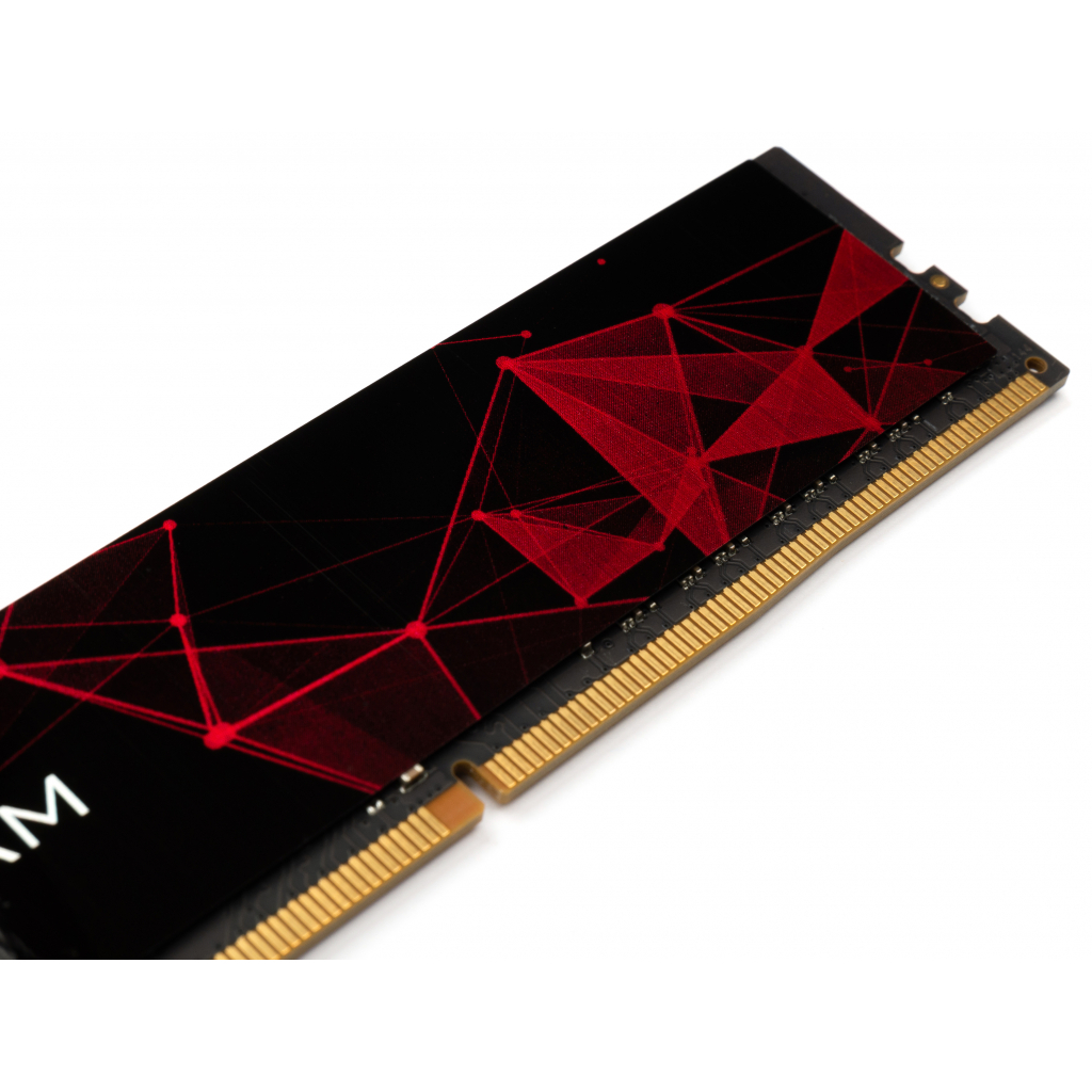 Модуль пам'яті для комп'ютера DDR4 16GB 2400 MHz LOGO Series eXceleram (EL416247C) - зображення 4