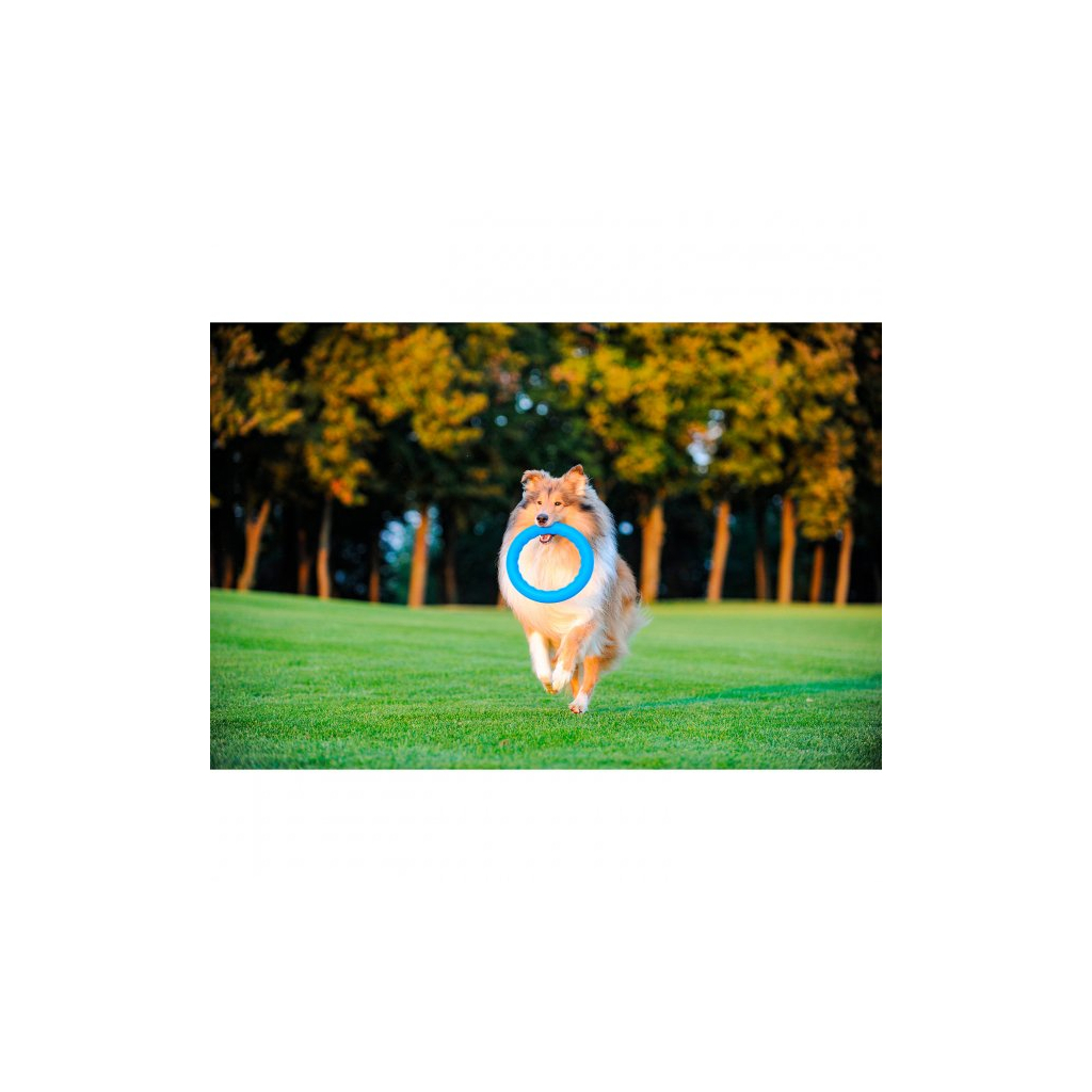 Іграшка для собак Collar PitchDog Кільце для апортування 28 см блакитне (62382) - изображение 3
