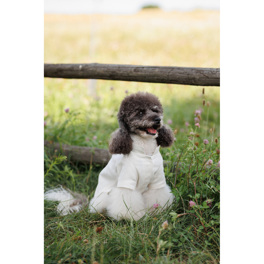 Футболка для тварин Pet Fashion Ostap XS2 (4823082439300) - изображение 11