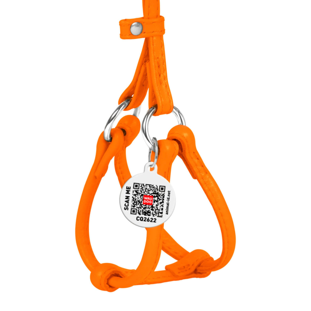 Шлея для собак WAUDOG Glamour з повідцем кругла Д 6 мм А 26-46 см В 30-50 см помаранчева (34014) - зображення 2