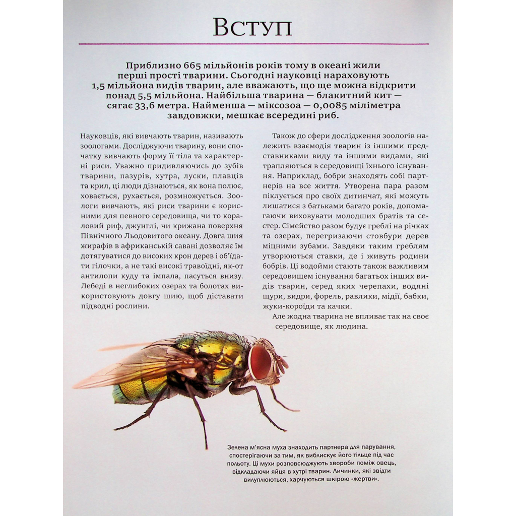 Книга Велика книга тварин - Клаудія Мартін Vivat (9786171704794) - зображення 4