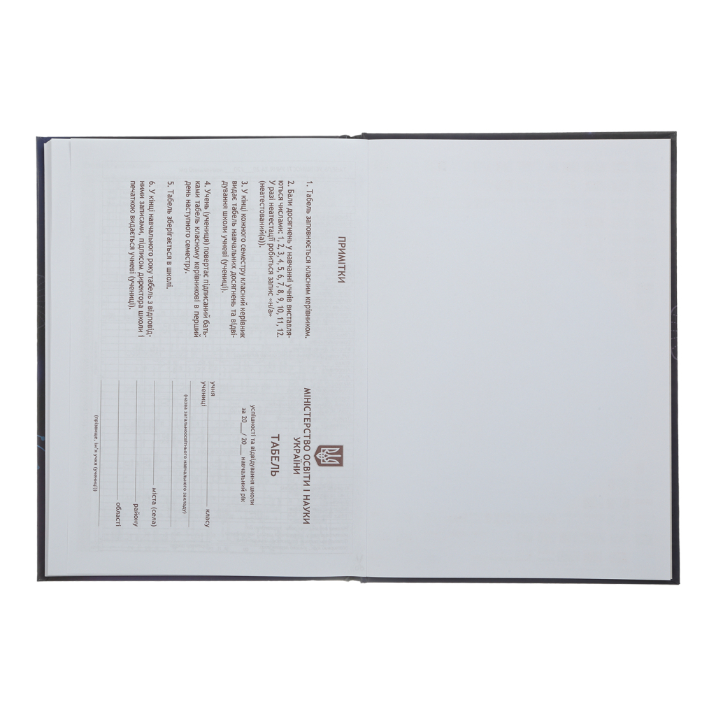 Щоденник шкільний ZiBi Sweet B5 48 аркушів (ZB.13827) - зображення 12