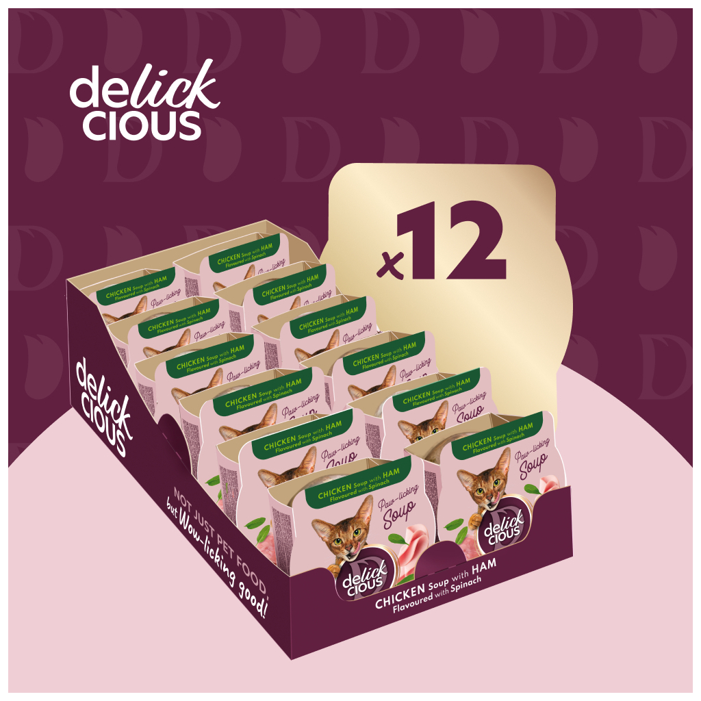 Вологий корм для кішок Delickcious Суп з курки з шинкою та додаванням шпинату 80 г (4820269141599) - зображення 5