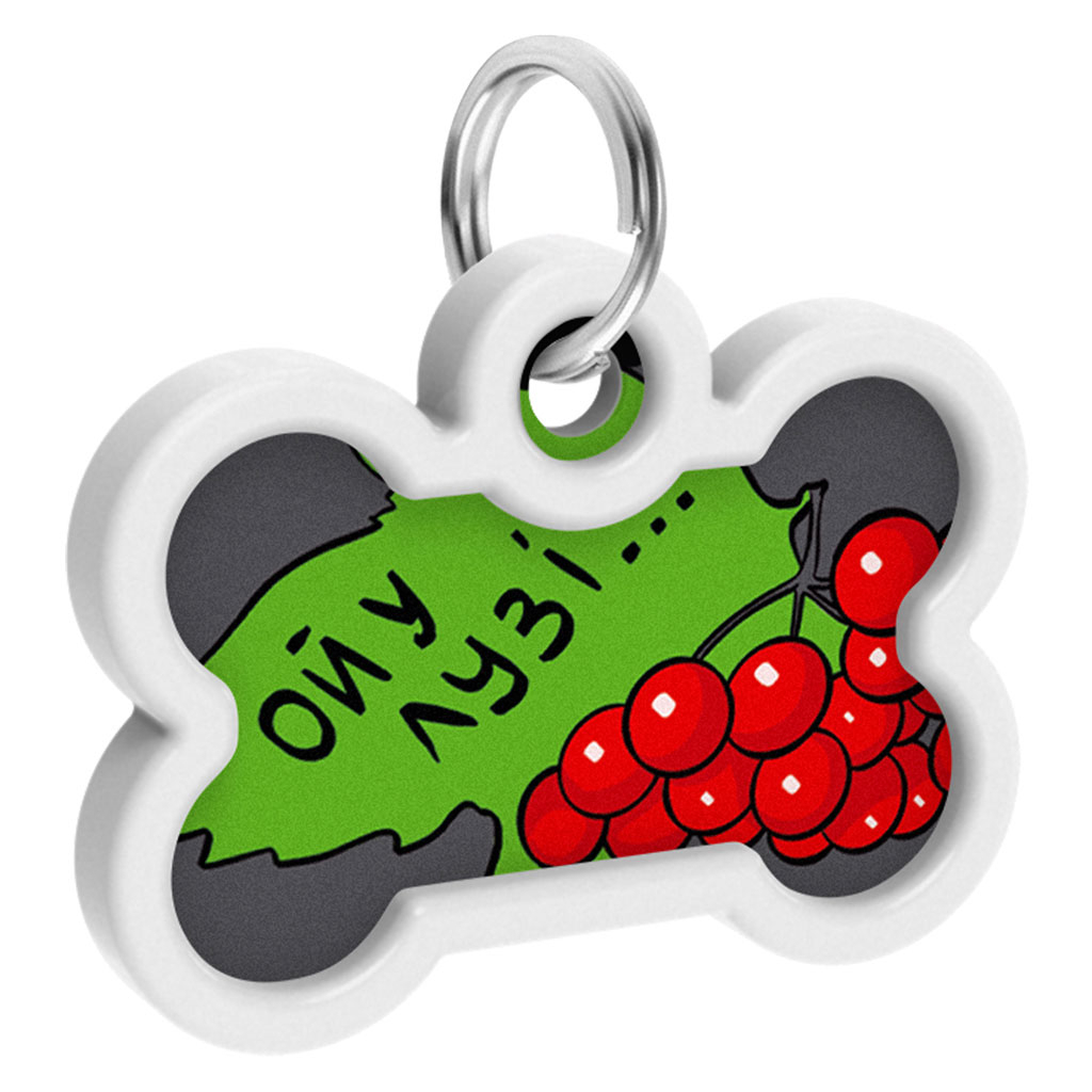 Адресник для тварин WAUDOG Smart ID з QR паспортом "Калина", кістка 40х28 мм (0640-0228) - зображення 4