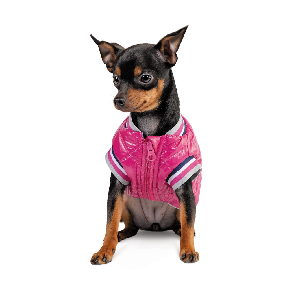 Бомбер для тварин Pet Fashion Grace М (4823082430178) - зображення 3