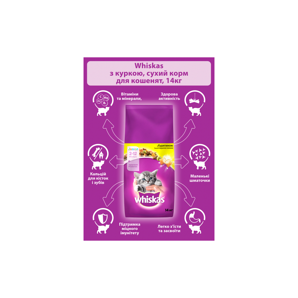 Сухий корм для кішок Whiskas з куркою для кошенят 14 кг (5900951014369) - зображення 4