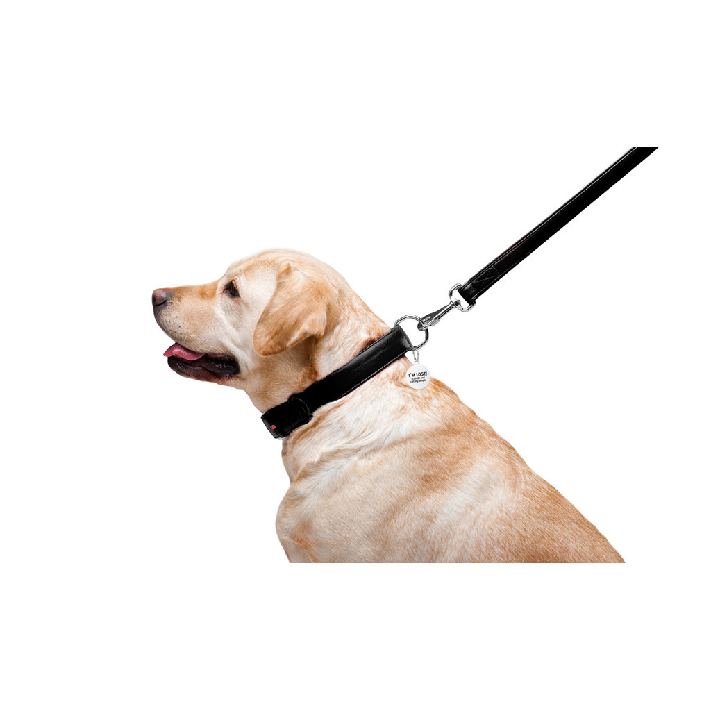 Повідець для собак WAUDOG Glamour шкіряний M-XXL чорний (33761) - зображення 6