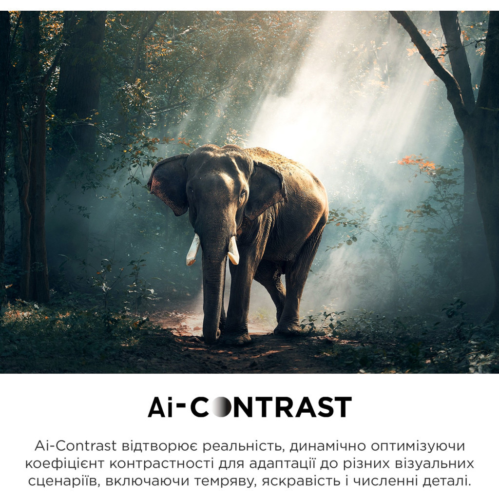 Телевізор TCL 65C745 - зображення 12