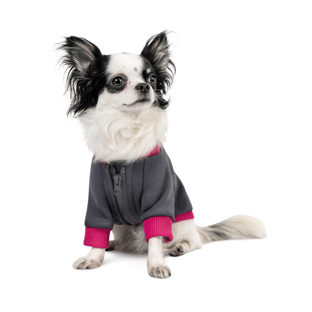 Толстовка для тварин Pet Fashion BIM XS2 (4823082430291) - зображення 4