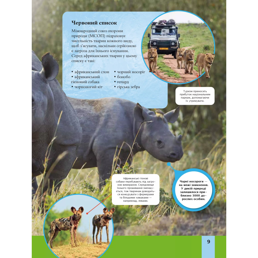 Книга Дитяча енциклопедія довкілля Vivat (9786171704831) - зображення 9