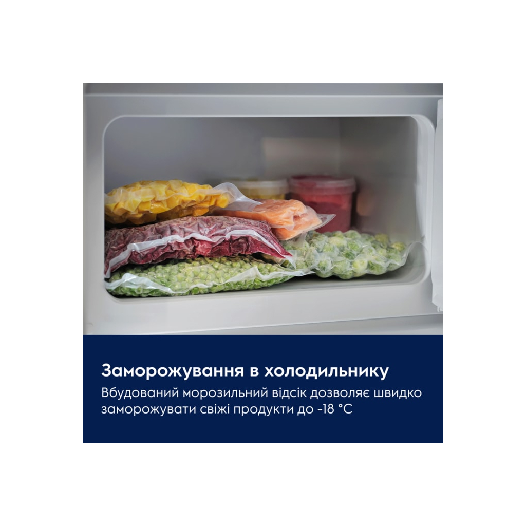 Холодильник Electrolux LFB3AE12S - зображення 6