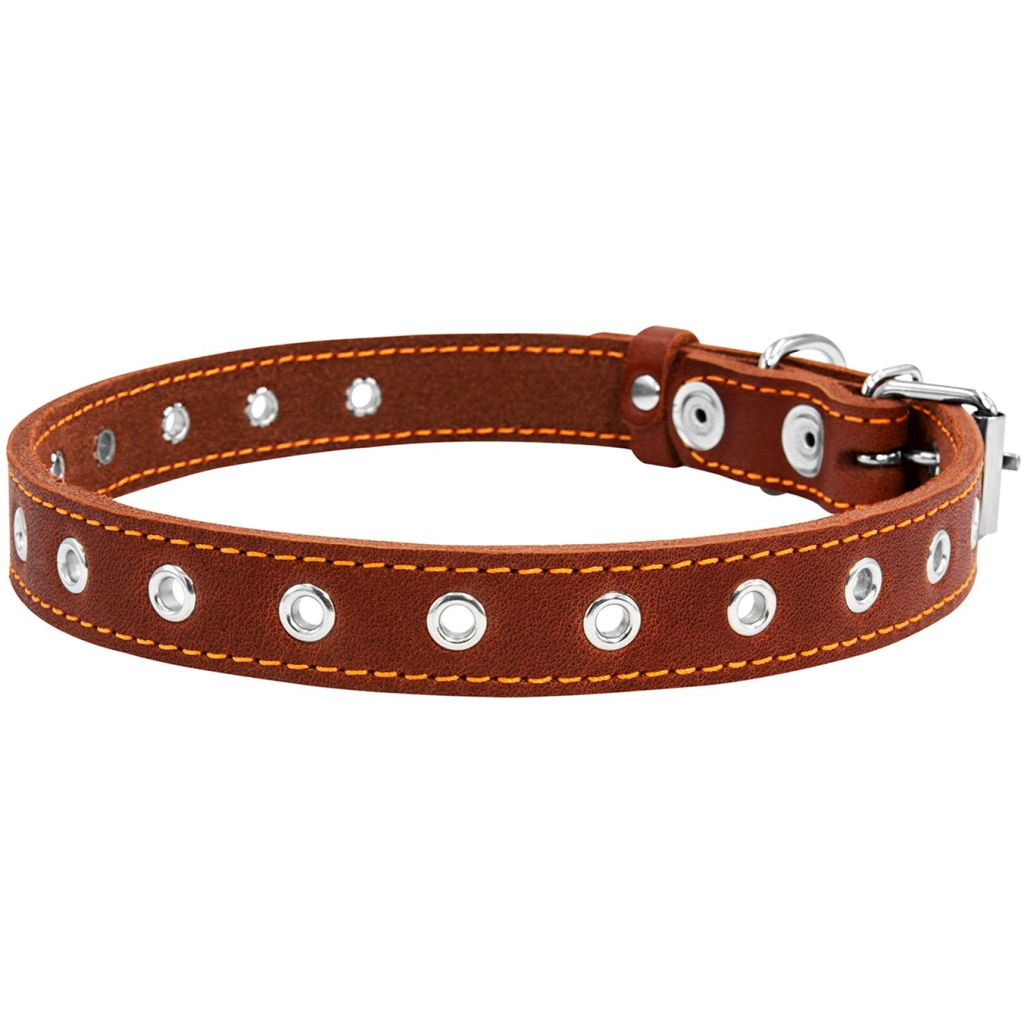 Нашийник для тварин Collar безрозмірний 20 мм 50 см (коричневий) (01516) - зображення 2
