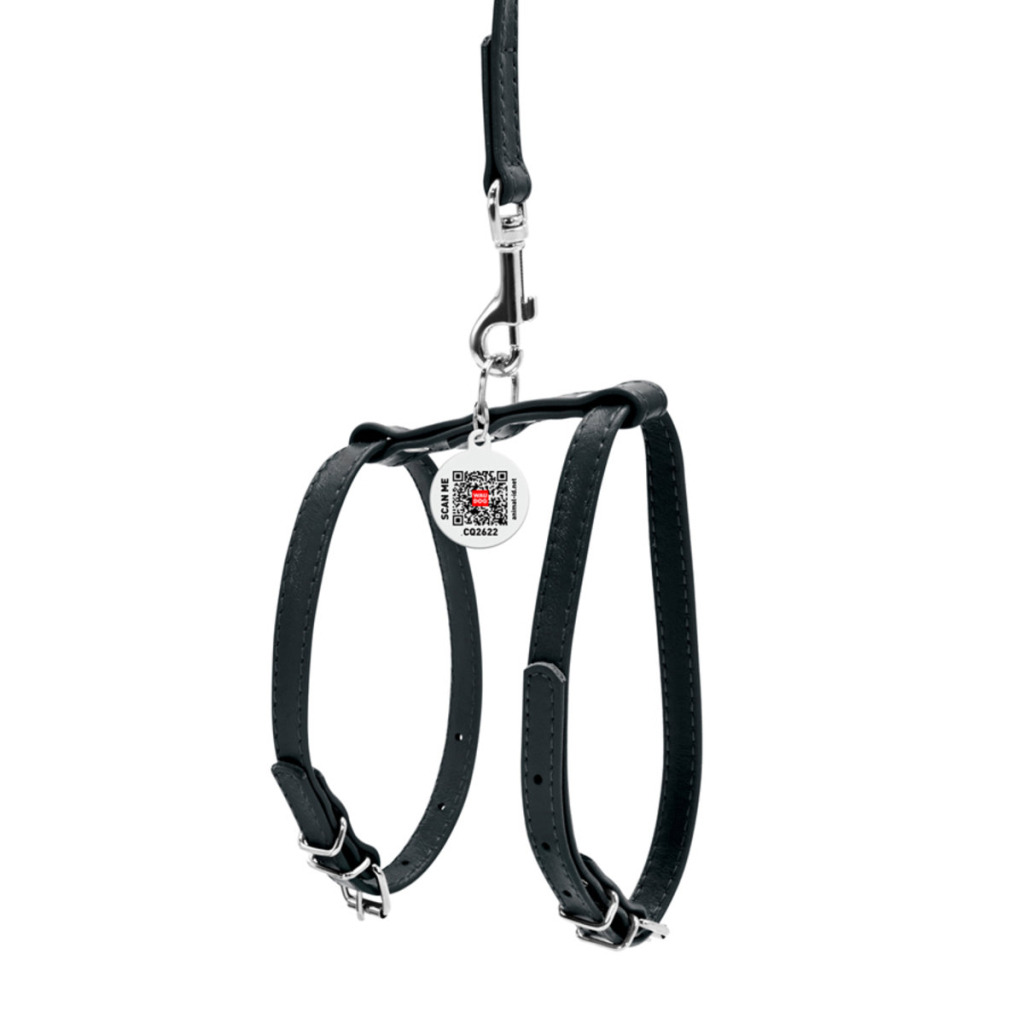 Шлея для собак WAUDOG Glamour з повідцем шкіряна Ш 12 мм А 25-33 см В 35-43 см чорна (34001) - зображення 2