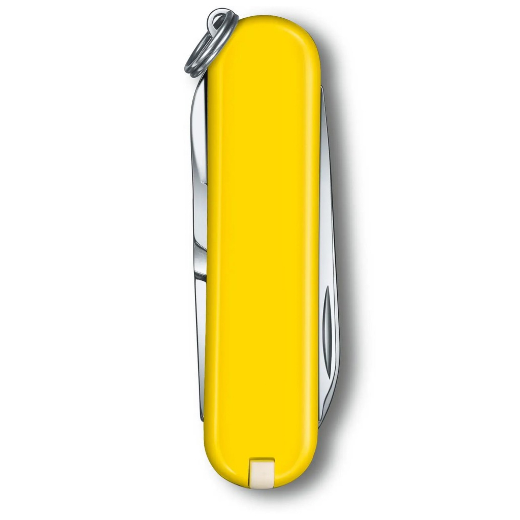 Ніж Victorinox Classic SD Colors Sunny Side (0.6223.8G) - зображення 3