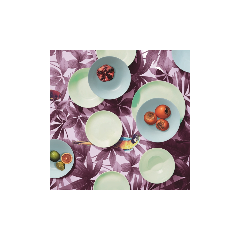 Тарілка Luminarc Diwali Paradise Green 19 см Десертна (V5841) - зображення 5