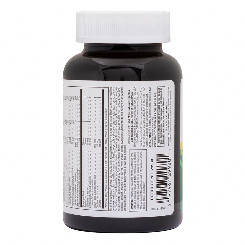 Мультивітамін Natures Plus Дитячі Жувальні Мультівітаміни, Смак Асорті, Source o (NTP29980) - зображення 2